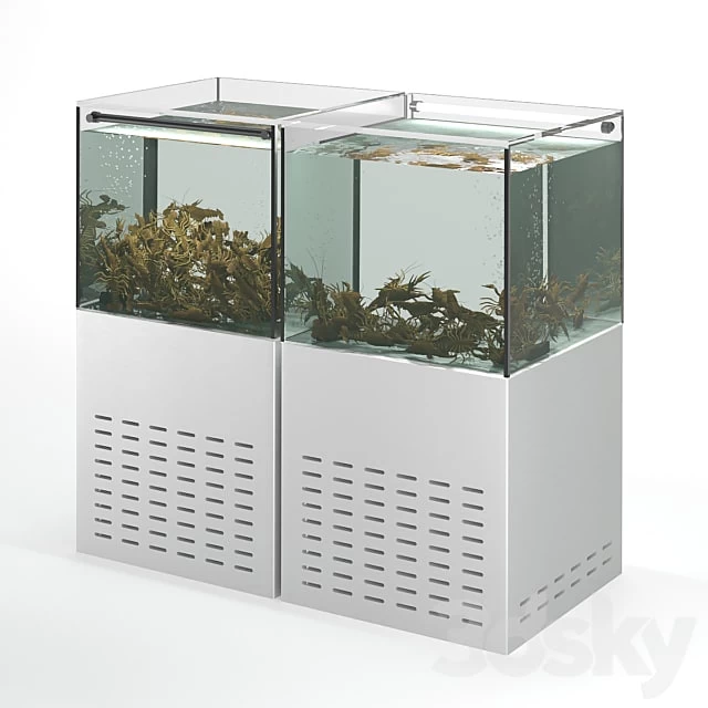 Crayfish aquarium