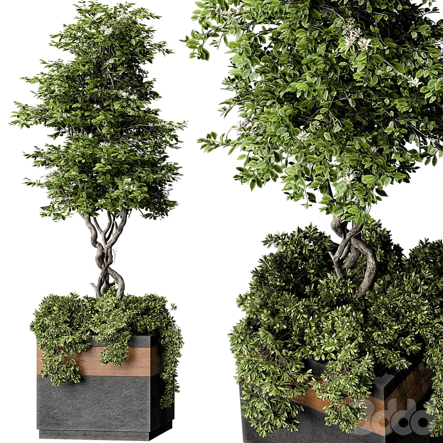 3504288.60d7f6dcde79c