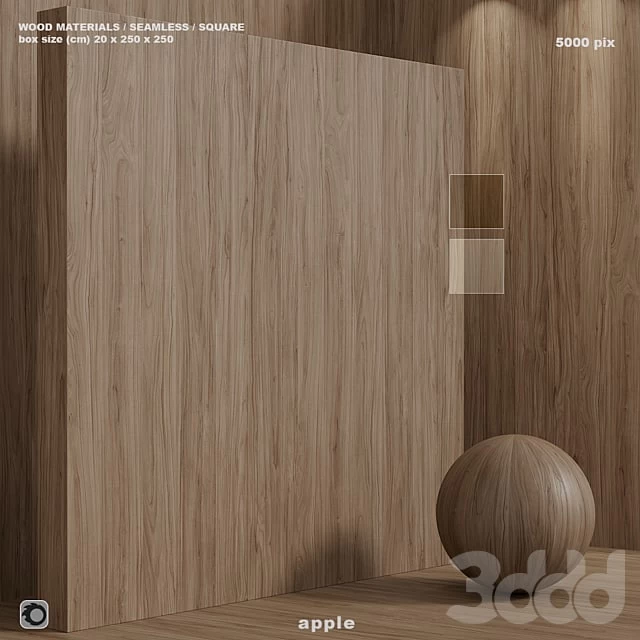 3861534.61bf2e245811b