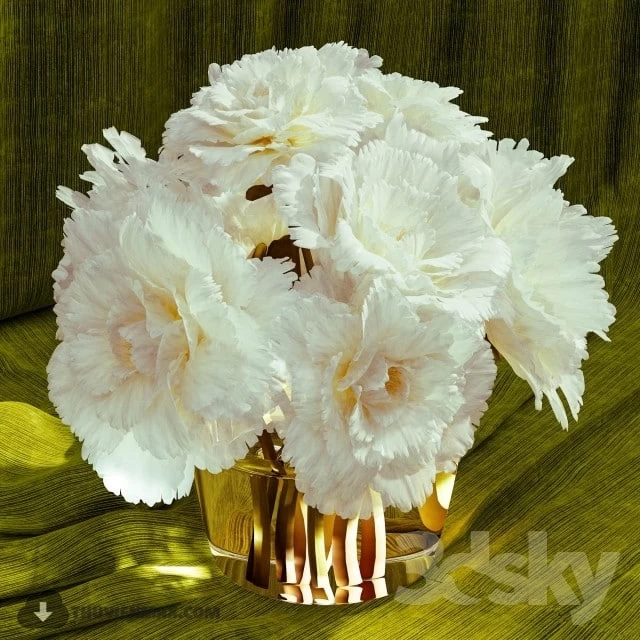 Flower pot rose white