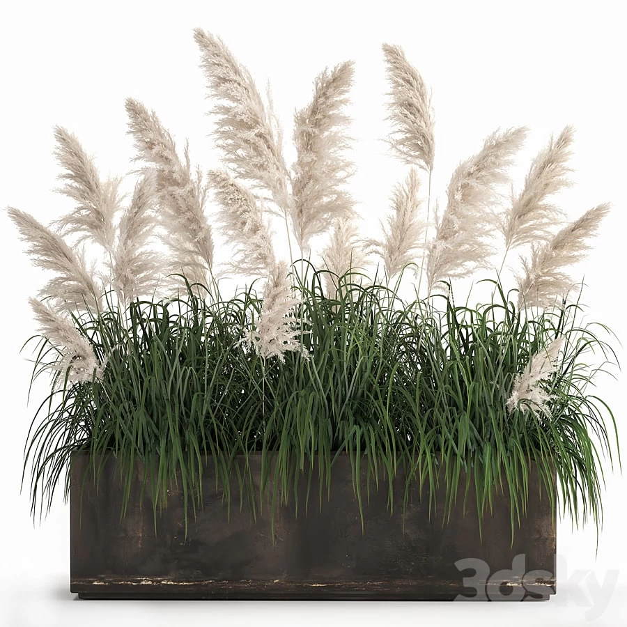 Plant collection 1033.