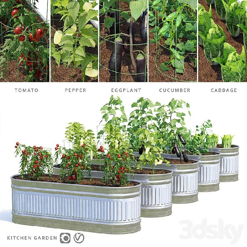 Garden | Kitchen garden