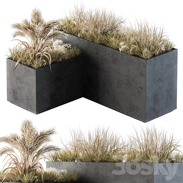 Outdoor Concrete Plant Box with Cereals and Dried Plants