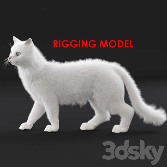 White cat
