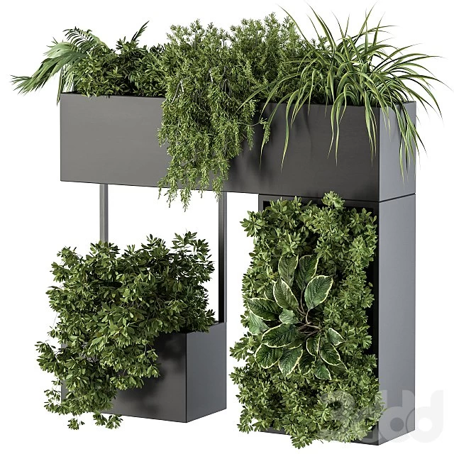 Plant Box on wall - indoor Plants 300