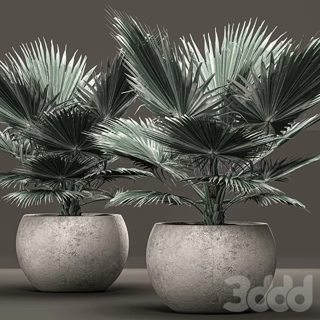 4138500.625ef77080179