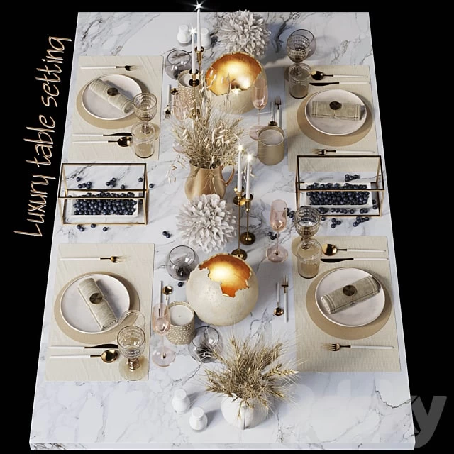 Luxury table setting W