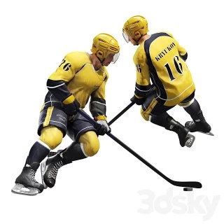 Hockey player. Position 1