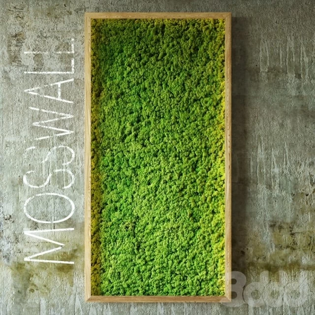 Moss wall Plants Fitowall
