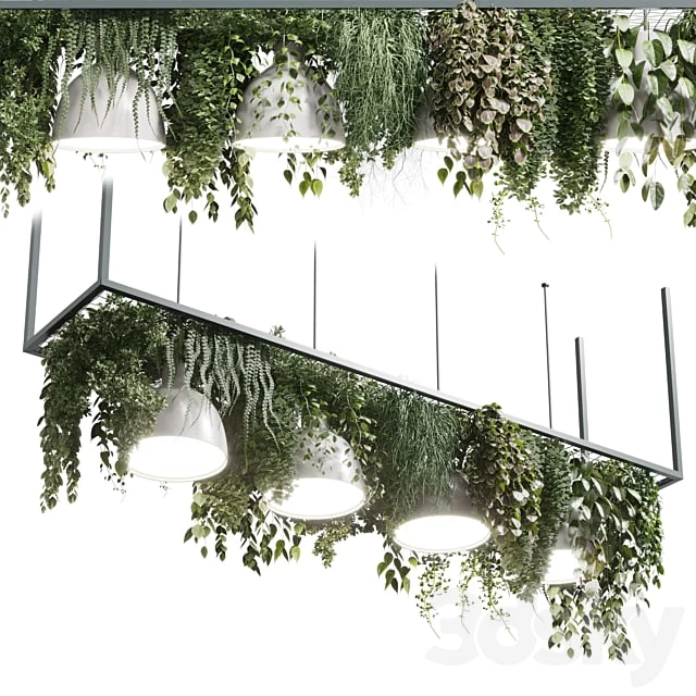 4376045.62e6f55b364f5