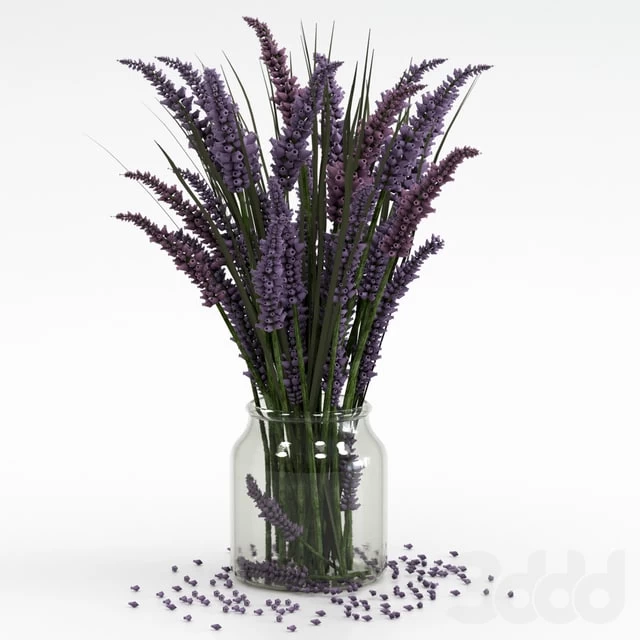 Bouquet of lavender