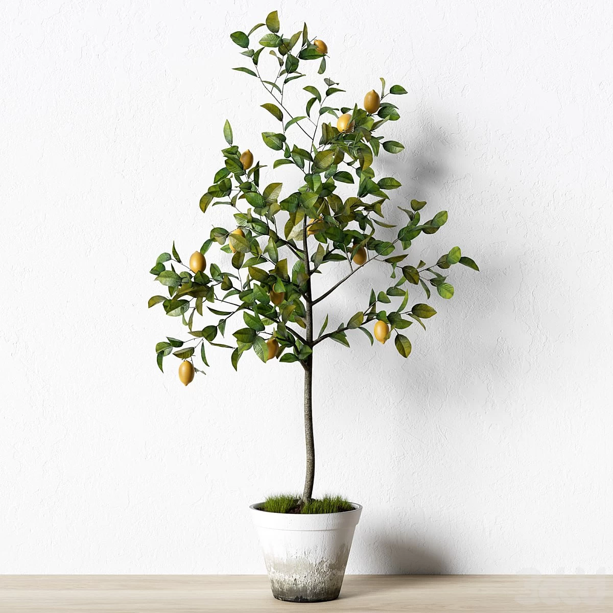 1554847.5a314fe380670