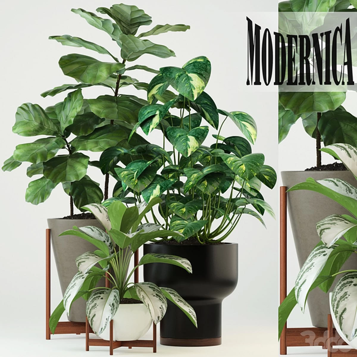 1609213.5a5366534d27d