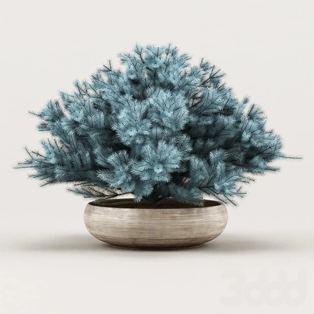 954448.58cac85b54b11