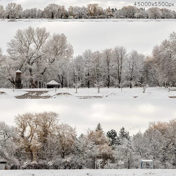 Panorama of the park and snow-covered trees. 45k