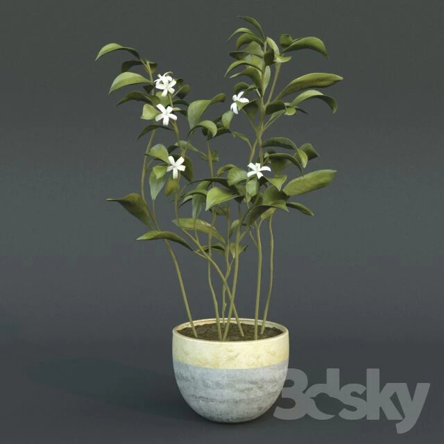 آبجکت_گلدان لينك كانال ‏