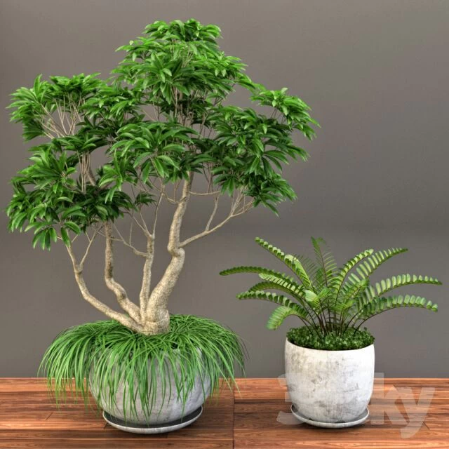 آبجکت_گلدان لينك كانال ‏