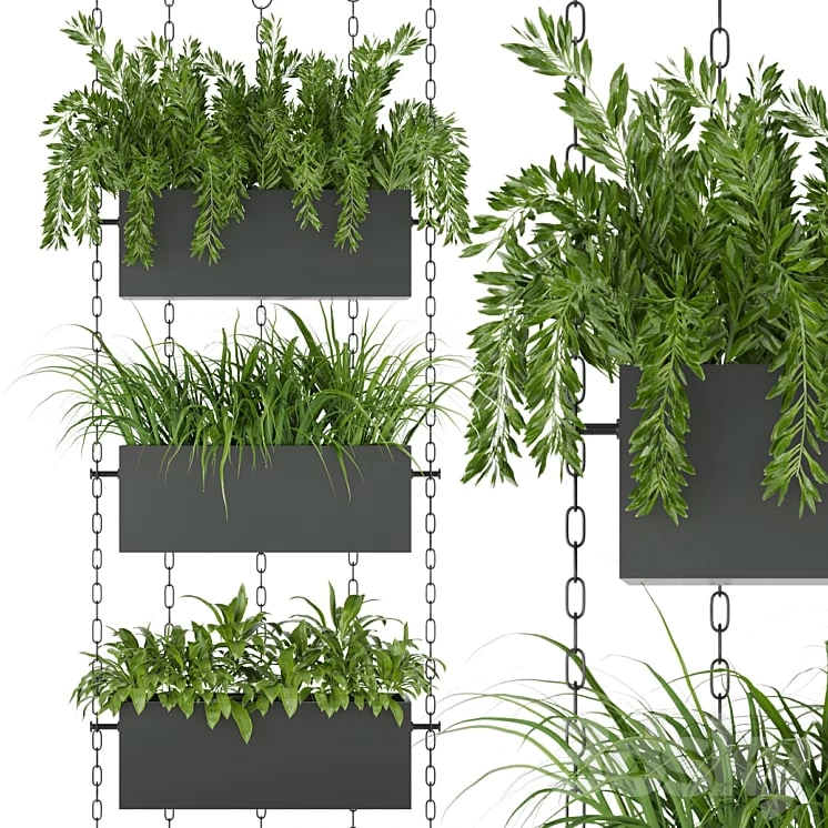 Collection plant vol 85