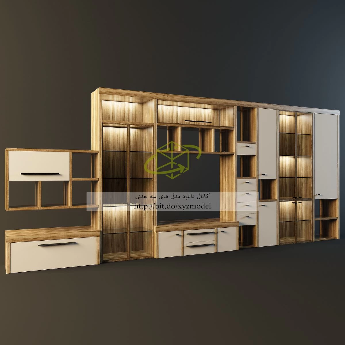 Modern Wardrobe Display Cabinets Collection closet