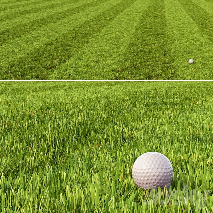 Mowed Lawn