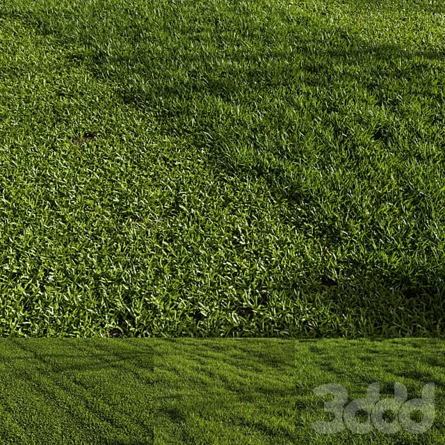 Grass Pack 01