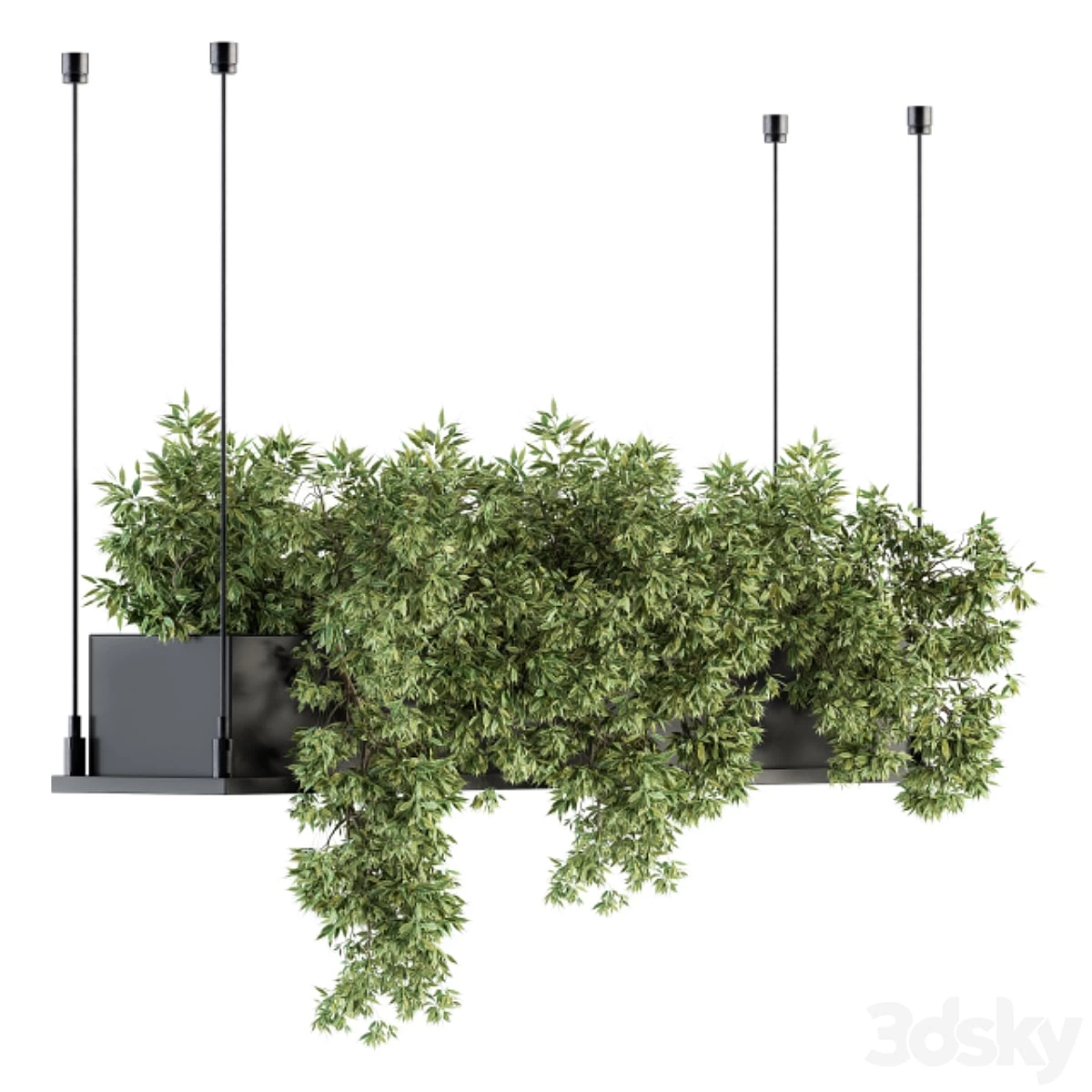 indoor Plant Set 217 - Hanging Plant Box