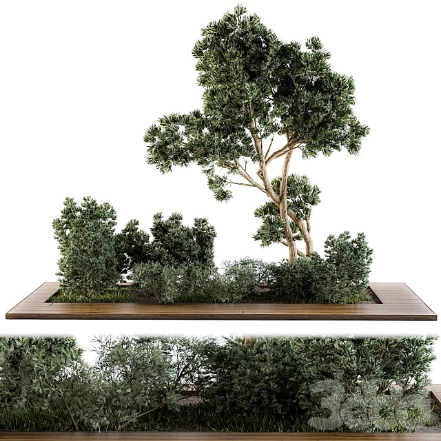 Garden set bush and Tree - Garden Set 06