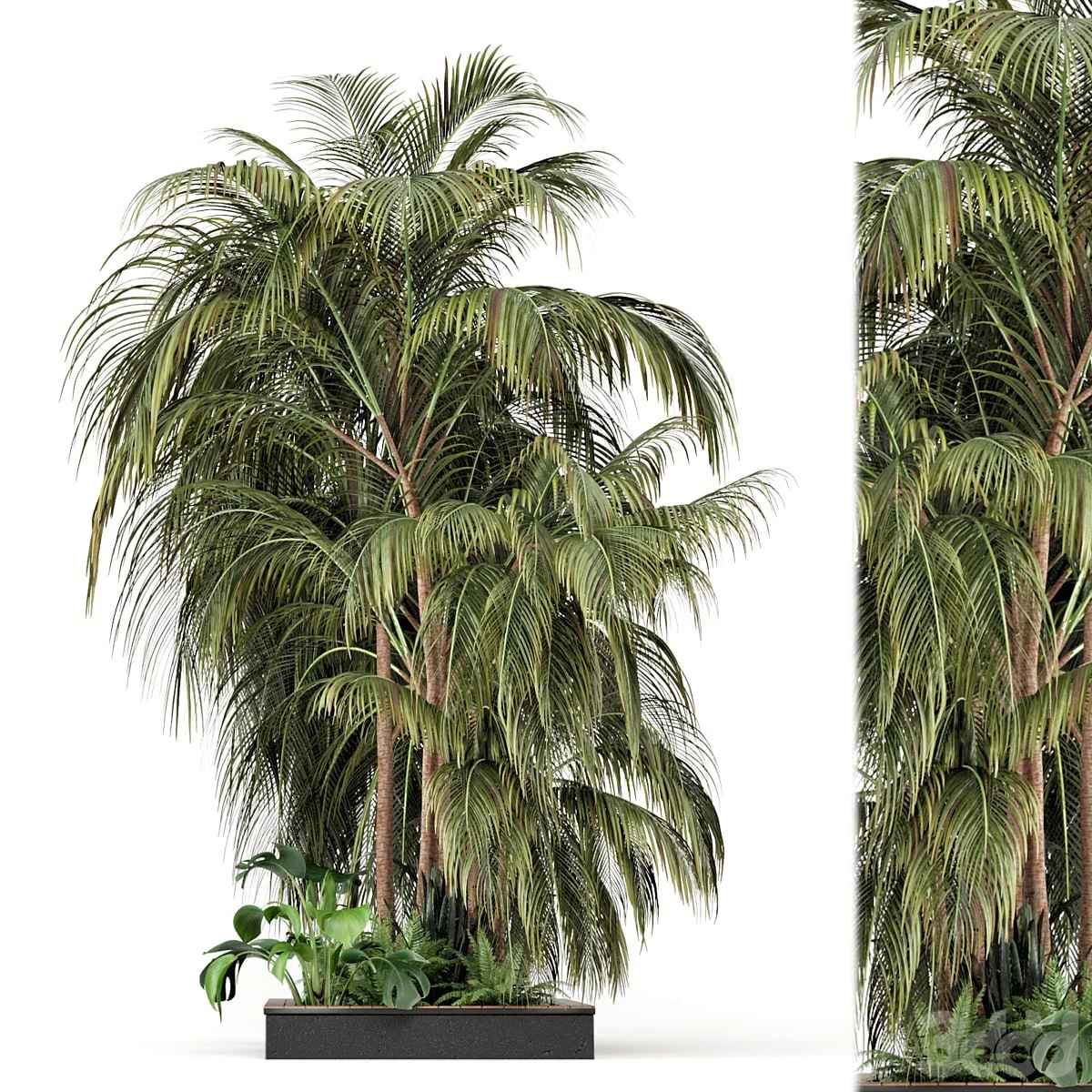 Outdoor Garden set bush and Tree - Garden Set 126