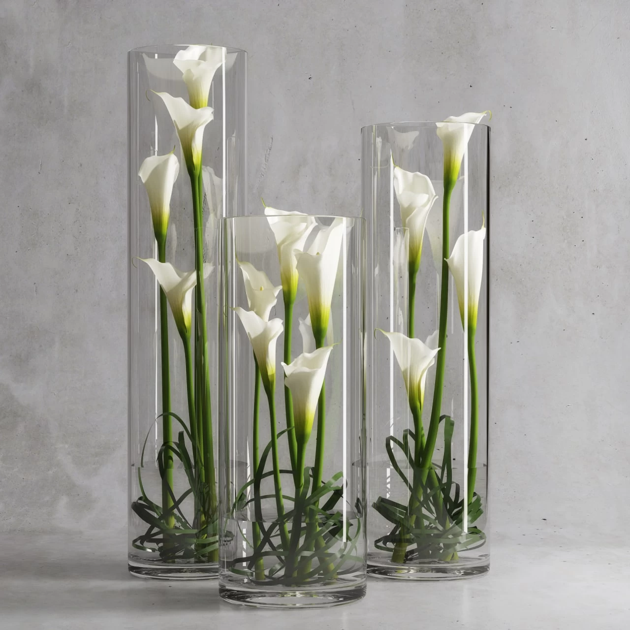 Calla Lily 6