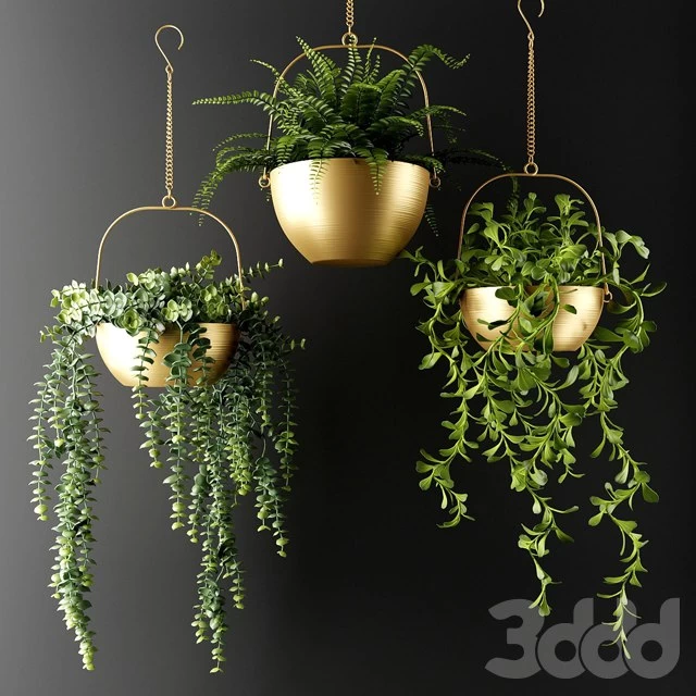 Ампельные растения в бронзовых кашпо | Ampel plants in bronze flower pots