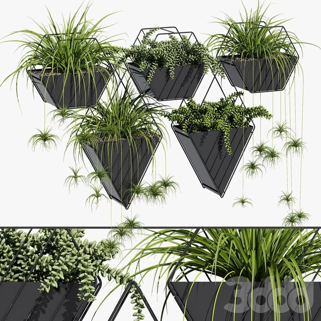 Tulane hanging planter