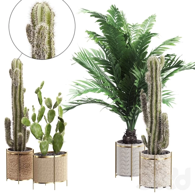 INTERIOR FLOWER PACK 20 - CACTUS. Part 4
