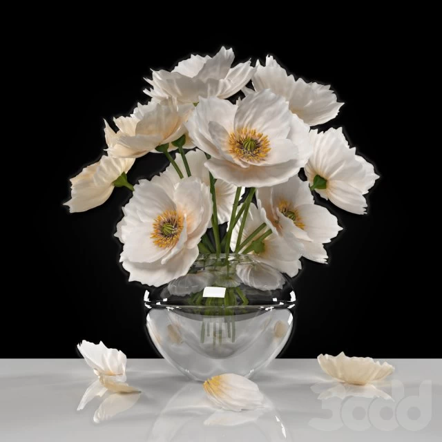WHITE POPPIES