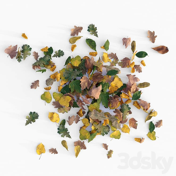 Autumn leaves