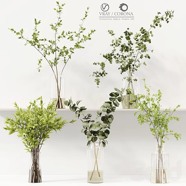 Collaction Indoor Plants 022