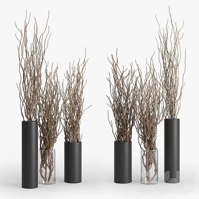 Dry Branch