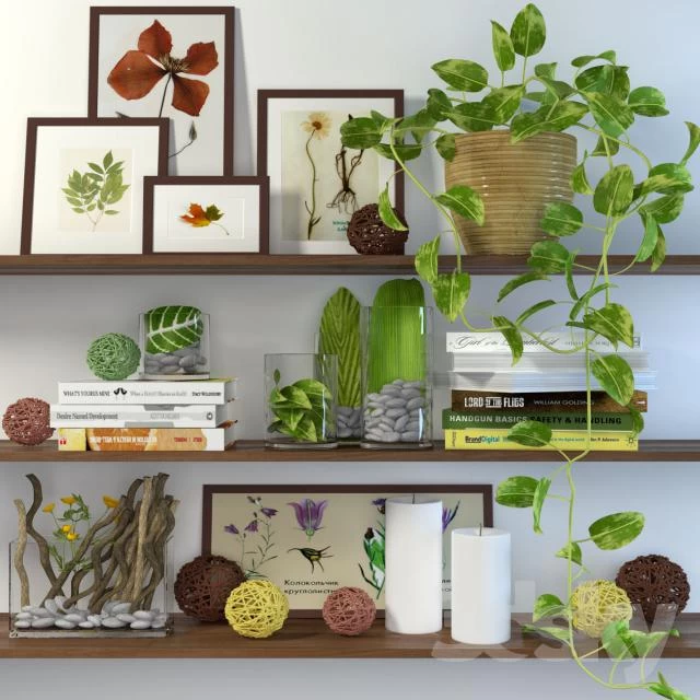 Decor shelves #decorativeset#book#shelves