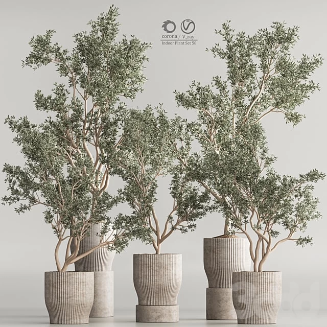 Indoor Plant Set 58