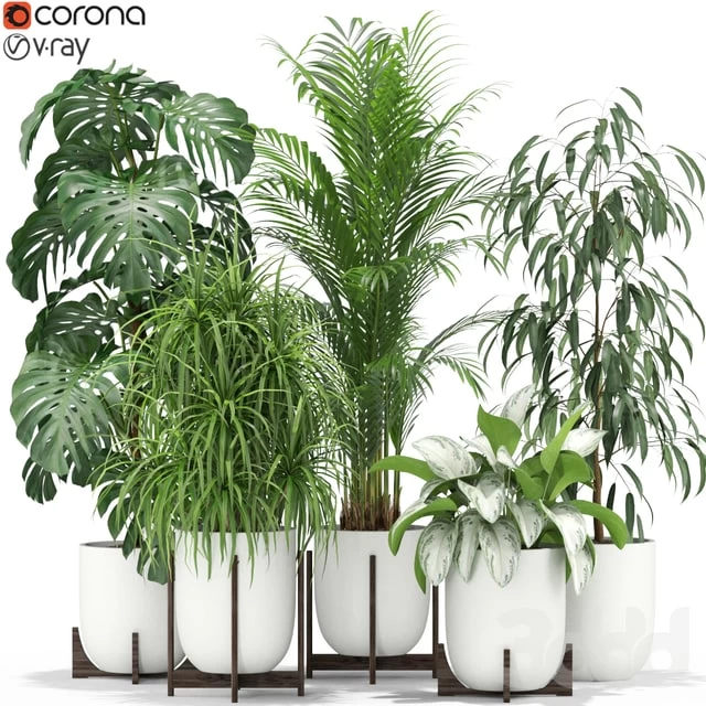 Plants collection 354
