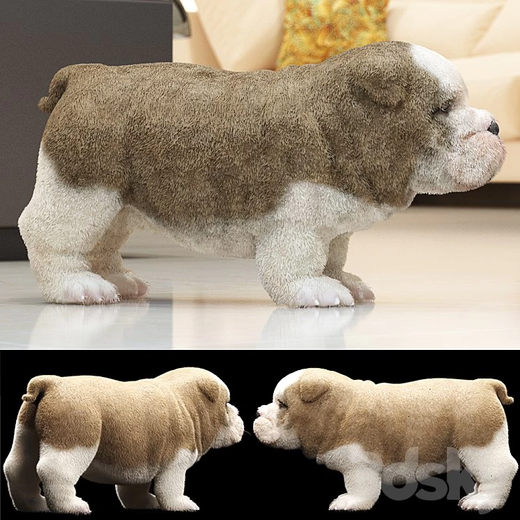 ENGLISH BULDOG PUPPY