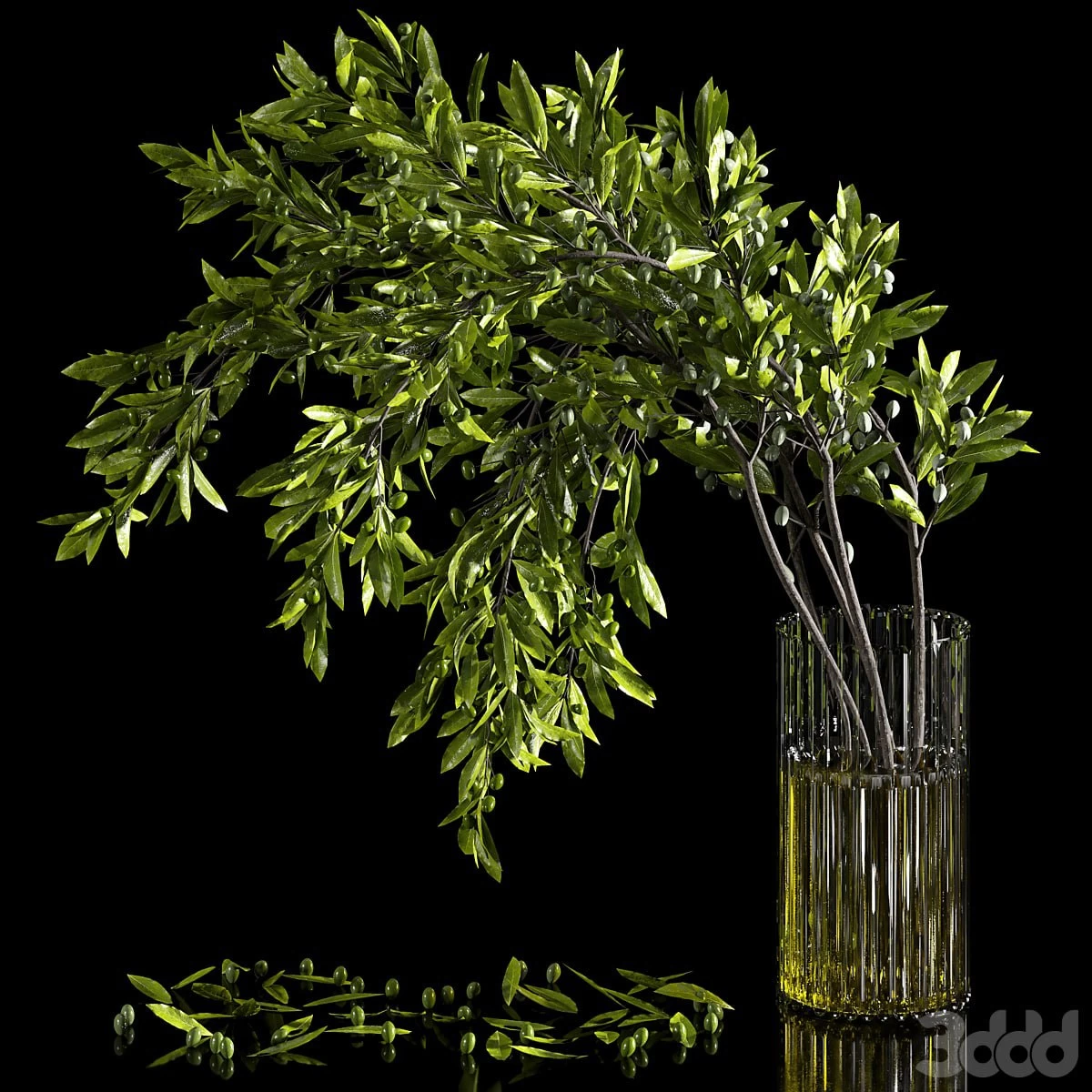 houseplants-indoor-049