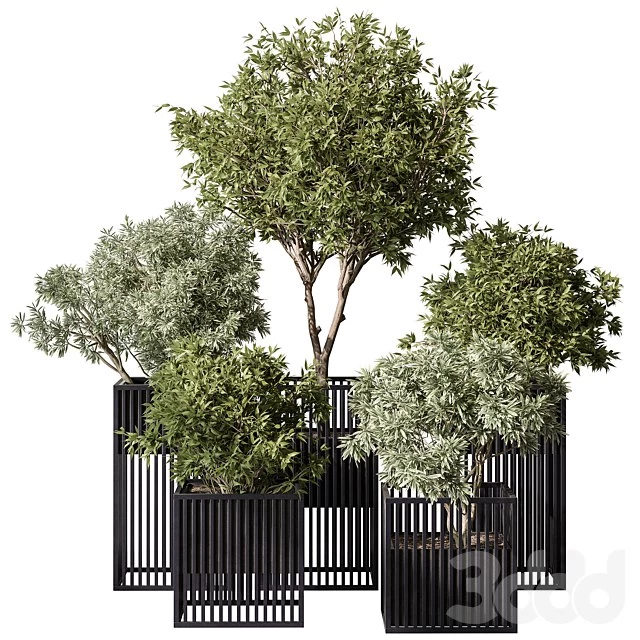Indoor plant set 380- Set of potted trees and plants