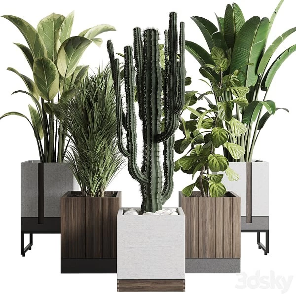 Plant box_Indoor outdoor plant 163