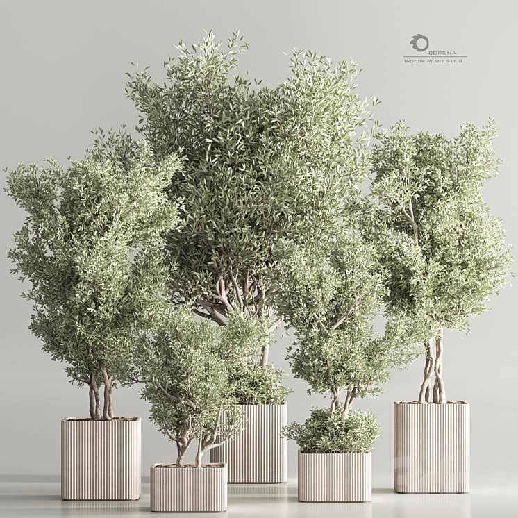 Indoor Plant Set 82