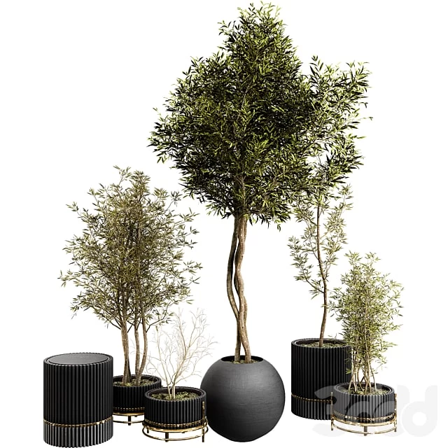Plant Collection Set 03