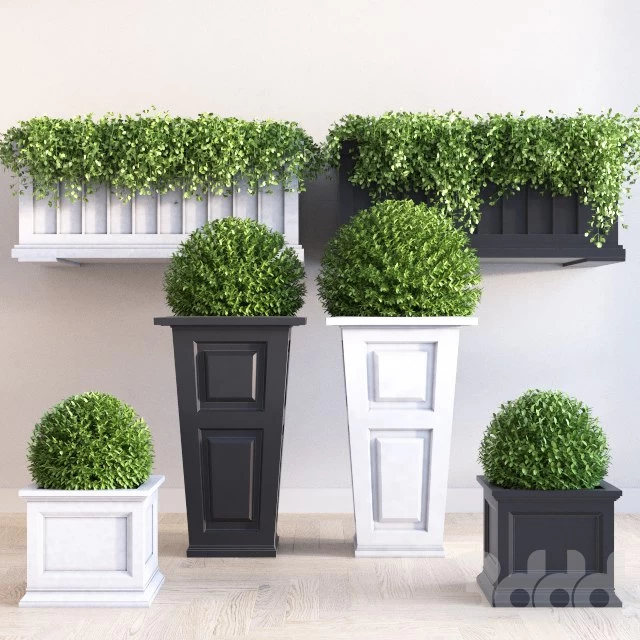 Mayne planter set