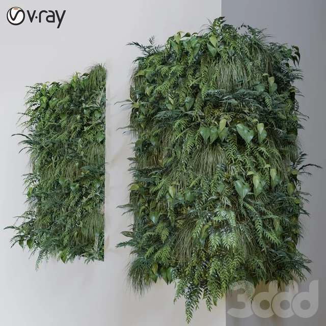 Green wall + corner