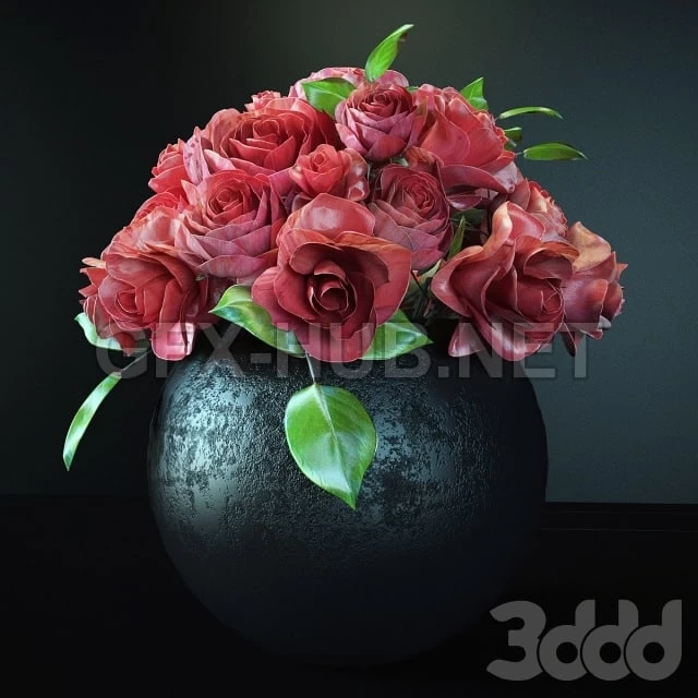 Rose ,