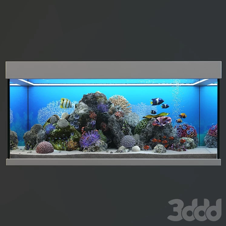Marine Aquarium
