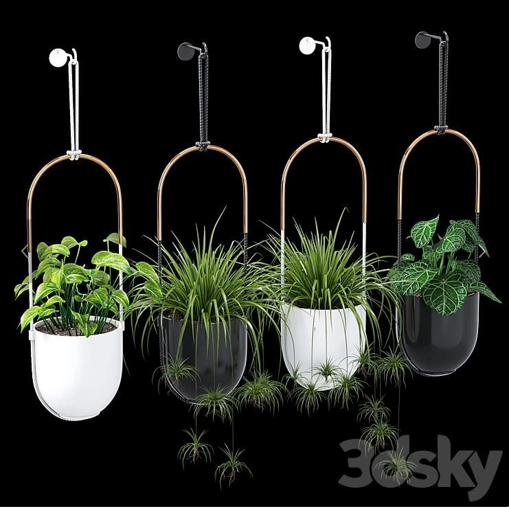 Bolo planter